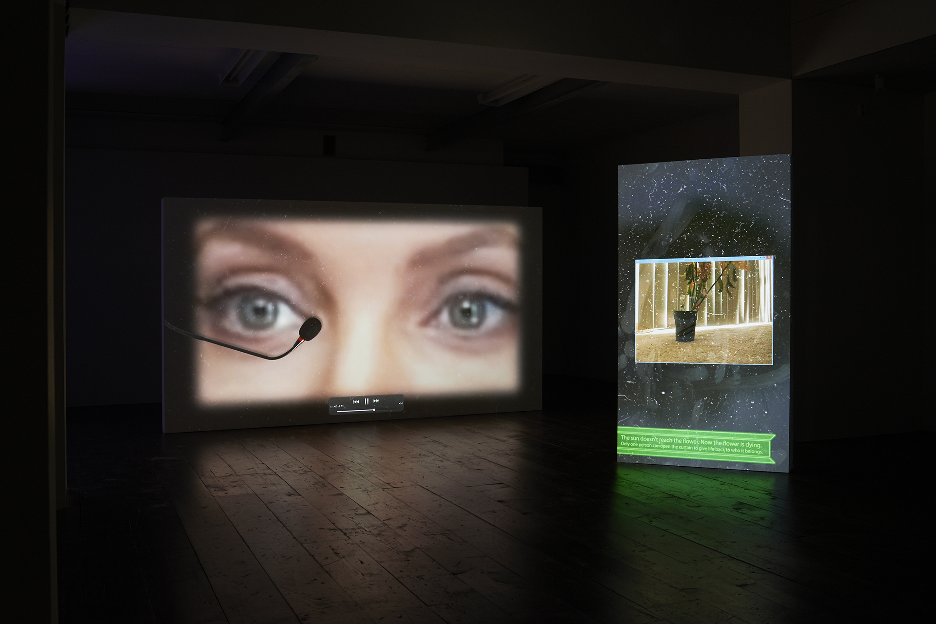 Behind the Curtain installation view 3